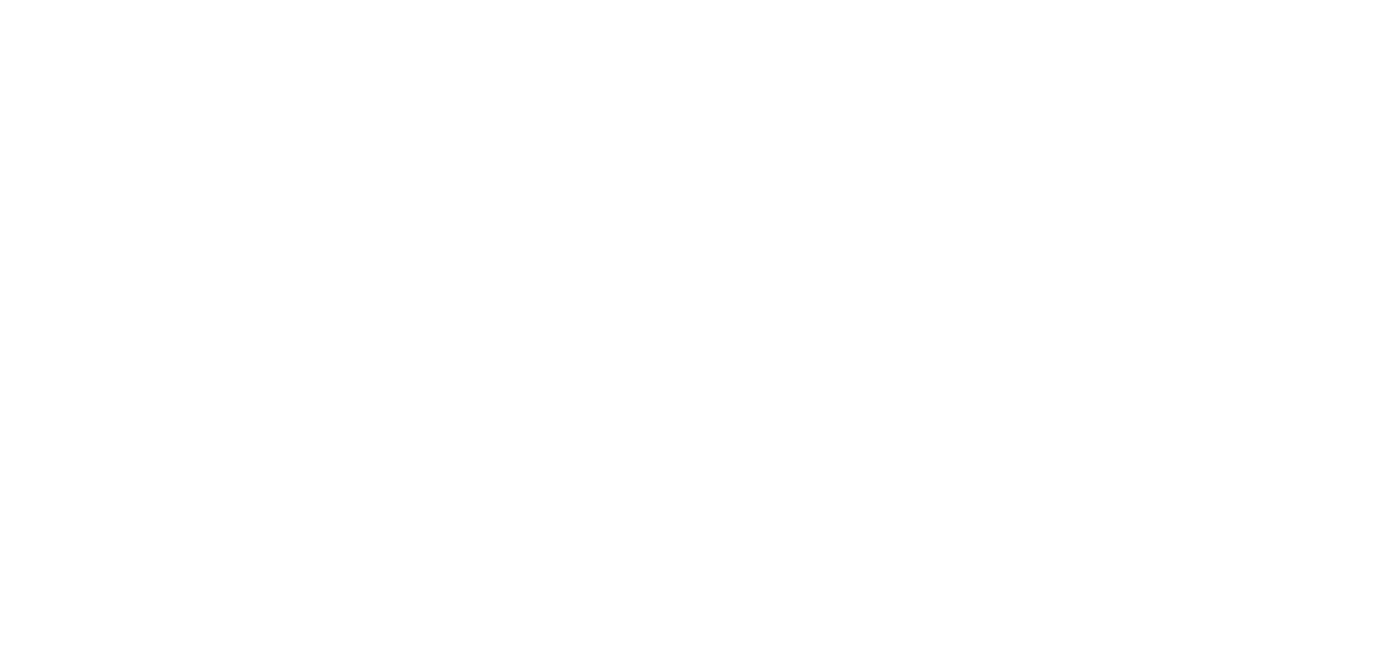 King & Mayr - Your Bespoke Vehicle & Service Solution in Germany - Logo